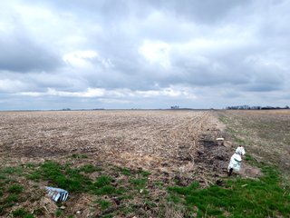 Property photo 13 - MAJOR LAND AUCTION - 313+/- ACRES OFFERED IN 7 TRACTS IN IROQUOIS COUNTY, ILLINOIS